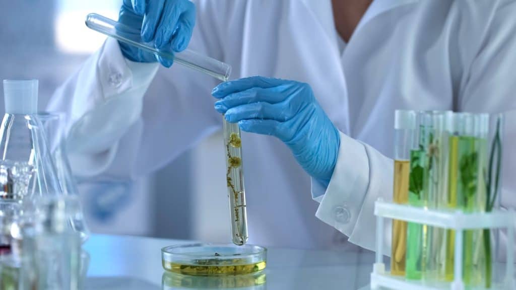 מעבדת קוסמטיקה